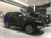 Cần bán Ford Everest đời 2019, màu đen, nhập khẩu