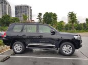 Bán ô tô Toyota Land Cruiser 4.7 VX sản xuất 2019, màu đen, xe nhập