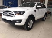 Bán Ford Everest đời 2019, màu trắng, xe nhập, giá chỉ 934 triệu