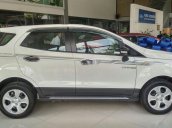 Bán Ford EcoSport sản xuất năm 2019, xe nhập, 520tr