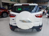 Bán Ford EcoSport sản xuất năm 2019, xe nhập, 520tr