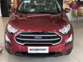 Bán xe Ford EcoSport sản xuất 2019, mới 100%