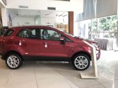 Bán xe Ford EcoSport sản xuất 2019, mới 100%