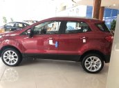 Bán xe Ford EcoSport sản xuất 2019, mới 100%