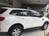 Bán ô tô Ford Everest năm sản xuất 2018, màu trắng, nhập khẩu, giá cạnh tranh