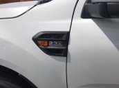 Bán Ford Ranger XLS AT năm sản xuất 2019, màu trắng, nhập khẩu