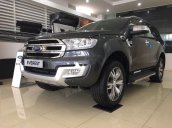 Cần bán Ford Everest năm 2019, màu xám, xe nhập