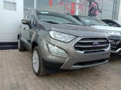 Bán Ford EcoSport năm sản xuất 2019, khuyến mãi tiền mặt khi mua xe