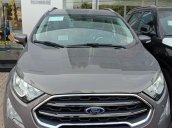 Bán Ford EcoSport năm sản xuất 2019, khuyến mãi tiền mặt khi mua xe