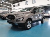 Bán Ford EcoSport năm sản xuất 2019, khuyến mãi tiền mặt khi mua xe