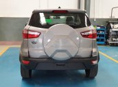 Bán Ford EcoSport năm sản xuất 2019, khuyến mãi tiền mặt khi mua xe