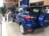 Bán Ford EcoSport 2019, màu xanh lam, nhập khẩu, giá tốt