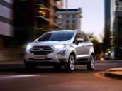 Bán Ford EcoSport "Cam kết" giá và ưu đãi phụ kiện. Ambiente MT&AT, Trend MT, Titanium AT 1.5 & 1.0