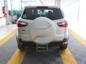 Bán Ford EcoSport 1.5MT sản xuất 2017, màu bạc