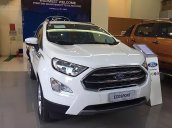 Bán Ford EcoSport năm sản xuất 2019, màu trắng