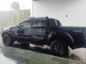 Cần bán Ford Ranger Wildtrak 2.2L 4x4 AT 2017, màu đen, nhập khẩu  