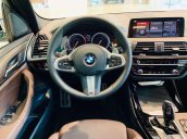 Bán ô tô BMW X3 2019, màu trắng, nhập khẩu nguyên chiếc