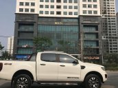 Cần bán gấp Ford Ranger sản xuất 2019, màu trắng, nhập khẩu