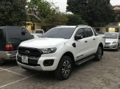 Cần bán gấp Ford Ranger sản xuất 2019, màu trắng, nhập khẩu