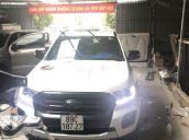 Cần bán gấp Ford Ranger sản xuất 2019, màu trắng, nhập khẩu