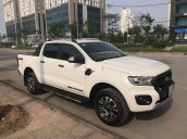 Cần bán gấp Ford Ranger sản xuất 2019, màu trắng, nhập khẩu