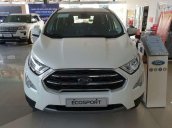 Bán xe Ford Ecosport Ambiente MT 1.5L đời 2019, giá tốt, giao nhanh toàn quốc