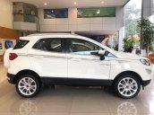 Ecosport 2019 Giảm ngay 60 triệu, BHVC, camera, ghế da, dán film 3M, lót sàn 5D, hỗ trợ ngân hàng