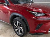 Chính chủ bán xe Lexus NX 300 sản xuất 2018, màu đỏ