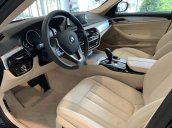 Bán ô tô BMW 5 Series năm 2019, nhập khẩu nguyên chiếc