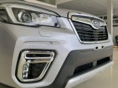 Cần bán xe Subaru Forester 2019, xe nhập