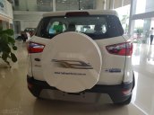 Vĩnh Phúc Ford Bán _ Ford Ecosport 2020 - đủ màu giao ngay, giảm tiền mặt, ưu đãi khủng trong tháng, LH 0974286009