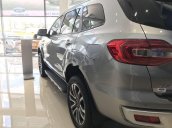 Bán Ford Everest đời 2019, màu bạc, nhập khẩu