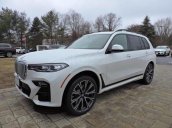 Bán xe BMW X7 xDrive 40i đời 2020 giá tốt, giao ngay toàn quốc, LH 093.996.2368 Ms Ngọc Vy