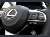 Bán Lexus RX 450h 5 chỗ 2019, màu trắng ghế nâu, nhập khẩu nguyên chiếc Mỹ, giao xe toàn quốc 0914.868.198