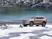 Giá xe Ford Everest Titanium 4x4 hot nhất tháng 01 tại Hà Nội