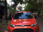 Bán Ford EcoSport Titanium năm sản xuất 2017, nhập khẩu