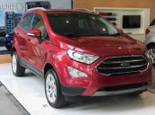 Siêu khuyến mãi xe Ford EcoSport 2019 giá thấp nhất