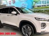 Bán Hyundai Santa Fe 2019 phiên bản dầu đặc biệt tại Đồng Nai