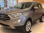 Bán xe Ford Ecosport Ambiente MT 2019