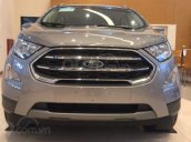 Bán xe Ford Ecosport Ambiente MT 2019