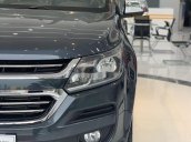 Bán xe Chevrolet Trailblazer đời 2019, nhập khẩu 
