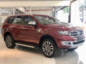 Ford Everest khuyến mãi khủng tặng kèm phụ kiện chính hãng