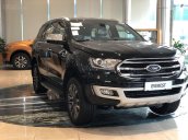 Ford Everest Everest titanium 4x4 biturbo đời 2019, màu đỏ, nhập khẩu nguyên chiếc