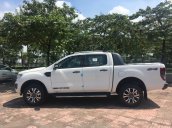 Ford Ranger Wildtrack 4x4 biturbo, màu trắng, xe nhập, giá tốt