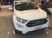 Bán Ford EcoSport Titanium 1.5L AT sản xuất năm 2019, màu trắng