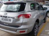 Bán xe Ford Everest sản xuất 2019, màu bạc, nhập khẩu nguyên chiếc