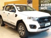 Cần bán xe Ford Ranger sản xuất 2019, nhập khẩu chính hãng