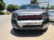 Bán Ford Ranger năm sản xuất 2017, màu bạc, xe nhập khẩu chính hãng