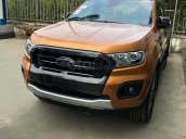 Bán Ford Ranger năm 2019, xe nhập