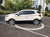 Bán xe Ford Ecosport Titanium 1.5L AT 2019, xe giao ngay, hỗ trợ các thủ tục, hỗ trợ trả góp 80%